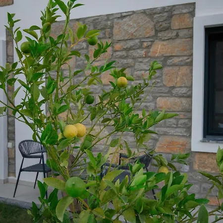 Adenya Villa *